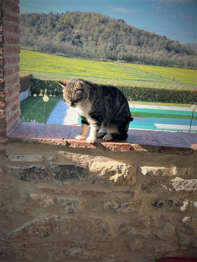 Podere La Selva ラポラーノ・テルメ エクステリア 写真