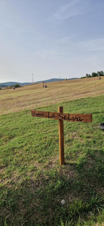 Podere La Selva ラポラーノ・テルメ エクステリア 写真