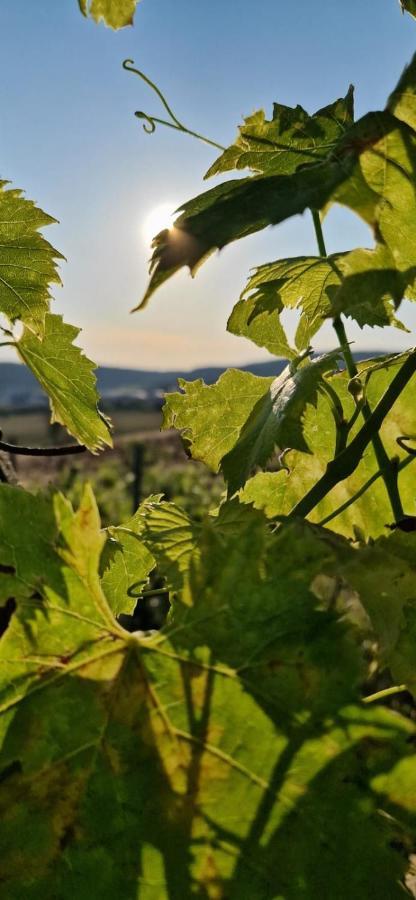 Podere La Selva ラポラーノ・テルメ エクステリア 写真