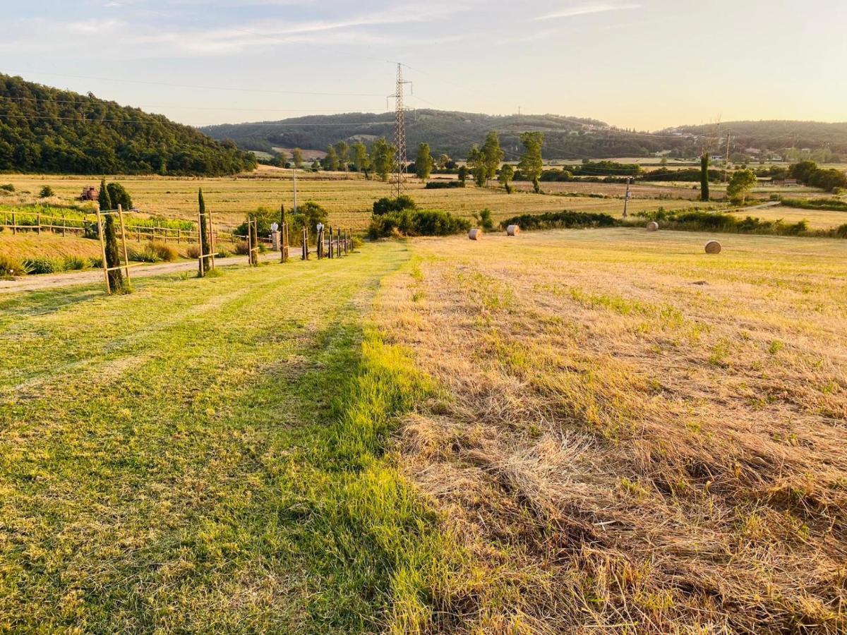 Podere La Selva ラポラーノ・テルメ エクステリア 写真